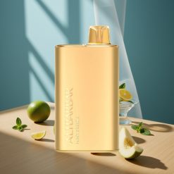 Alibarbar Rich 8000 Puffs Disposable Vape Brise Mentholée avec 20ml d'E-Liquide