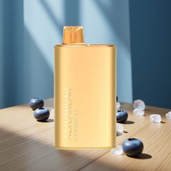 Alibarbar Rich 8000 Puffs Disposable Vape Myrtille Glace 20ml 2000mAh