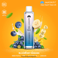 Hayati Pro Max jetable - Hayati Vape Review banane myrtille FXT8LR138