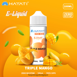 Hayati Pro Max sels de nicotine - Hayati Vape Review triple mangue FXT8LR258